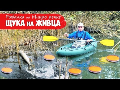 Видео: ОСТАВИЛИ ЛОВУШКИ для ЩУКИ!!! РЫБАЛКА на ЖИВЦА или ЛОВЛЯ ЩУКИ на КРУЖКИ