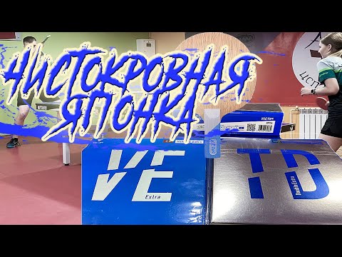 Видео: Новинка VICTAS! VICTAS NIWA KOKI WOOD + VICTAS VENTUS EXTRA + VICTAS TRIPLE DOUBLE EXTRA