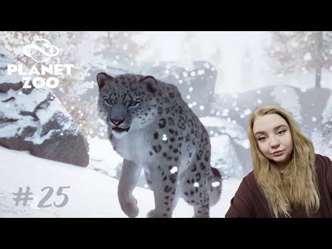 Видео: Проблемы с Ирбисом ➤Planet Zoo #25