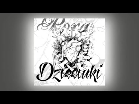 Видео: Dzieciuki - Давыд Гарадзенскі [Audio]