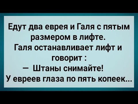 Видео: Как Галя с Евреями в Лифте Ехала! Сборник Свежих Анекдотов! Юмор!