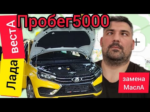 Видео: ЛАДА ВЕСТА  в такси,сменил масло,пробег 5000,купил рыбу,откатал смену,ЖИВУ и наслаждаюсь.