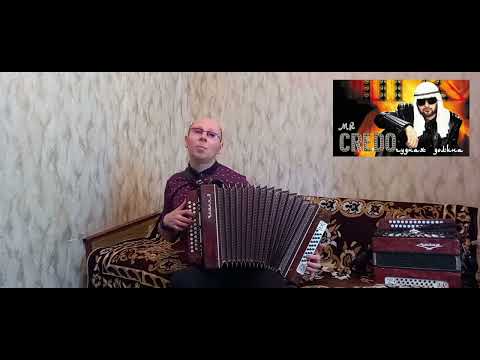 Видео: "Чудная долина".("Mr.Credo").Кавер-версия.Гармонь.
