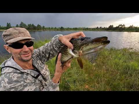 Видео: Шесть дней на лесном озере. Рыбалка на спиннинг и поплавочную снасть. 09-14.08.2025