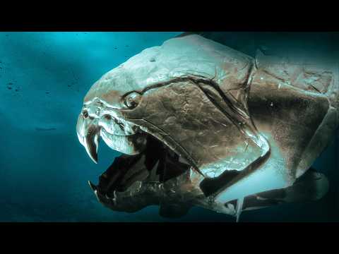 Видео: РЕЦЕПТ САМОГО ДРЕВНЕГО СУПА