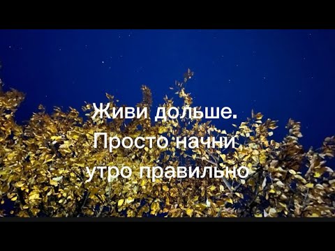 Видео: Как Жить Дольше и Не Болеть! 10 ВЕЩЕЙ, Которые вы Должны Делать КАЖДОЕ УТРО