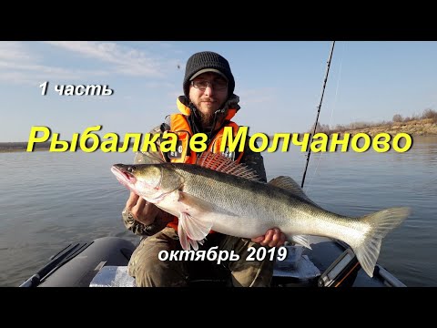 Видео: Рыбалка в Молчаново 2019. Обь, октябрь.