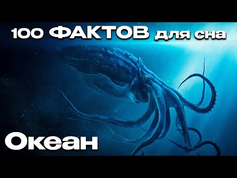 Видео: 100 фактов об океане, под которые ты уснёшь
