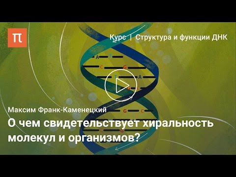 Видео: Асимметрия биологических молекул — Максим Франк-Каменецкий