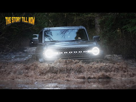 Видео: Сможем ли мы заставить новый FORD BRONCO застрять в грязи?
