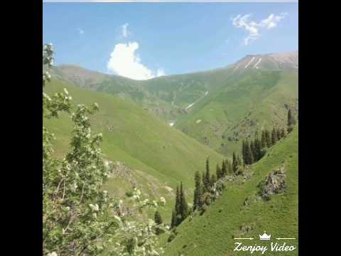 Видео: Токтогул Бууракан