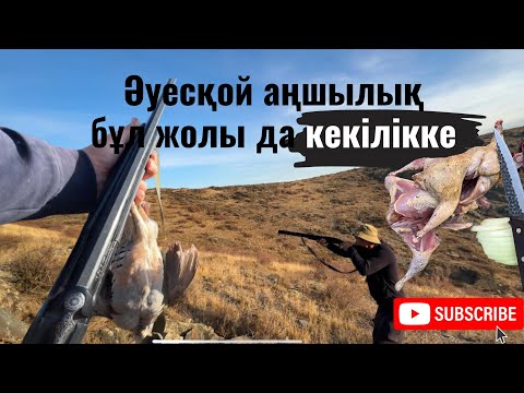 Видео: КӨНЕ ТАСҚОРАЛАР МАҢЫНДАҒЫ АҢШЫЛЫҚ 🔥 КЕКІЛІКТЕН СОРПА ЖӘНЕ КЕРЕМЕТ ТАБИҒАТ