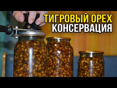 Видео: Тигровий горіх. Рецепт приготування консервованого горіха