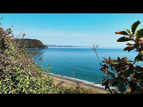 Видео: Рыбалка на р. Кема, октябрь 2024. Приморский край.