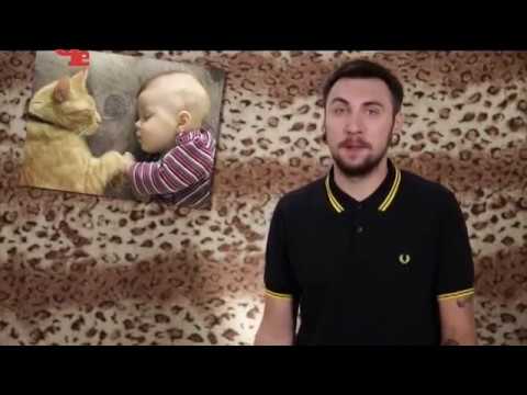 Видео: +100500 на ТВ - 155 выпуск