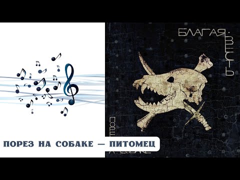 Видео: РЕАКЦИЯ, ОБЗОР И РАЗБОР: ПОРЕЗ НА СОБАКЕ — ПИТОМЕЦ