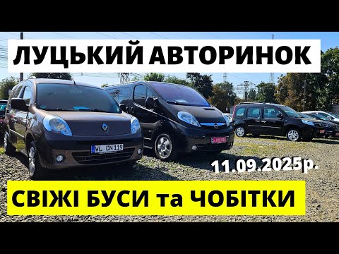 Видео: БУСИ ТА ЧОБІТКИ НА ЛУЦЬКОМУ АВТОРИНКУ / 11.09.25р. #автопідбірлуцьк #авториноконлайн  #автобазар