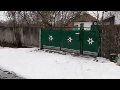 Видео: Хорішки