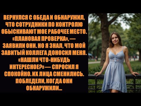 Видео: Они проверили мой офис на предмет «нарушений», пока я был на перерыве. Нашли кое-что ещё...
