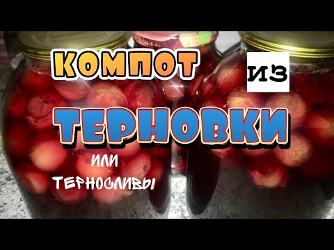 Видео: Терновка/Почему так называется/компот из терновки/второй урожай/