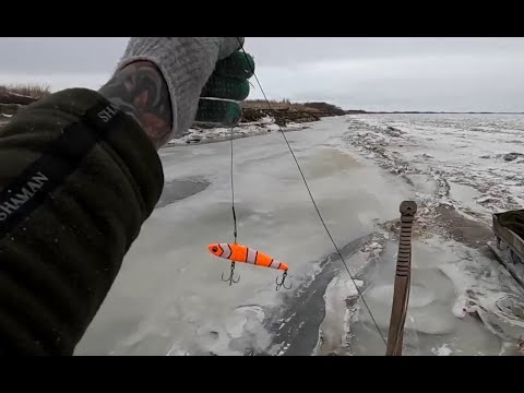 Видео: Что он творит!!! Наловил целую гору щуки!