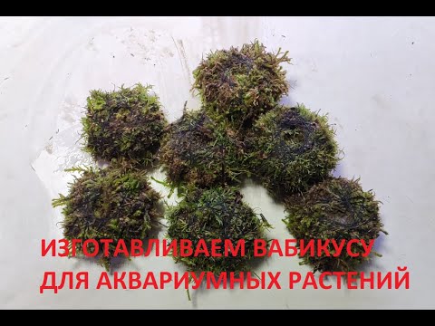Видео: Изготавливаем вабикусу