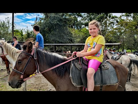 Видео: Конная двух часовая  прогулка. 17.09.24