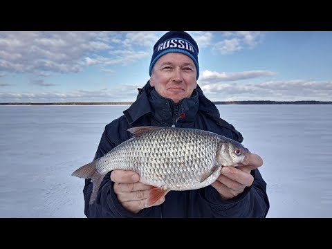 Видео: Искали судака, нашли СОРОГУ. Чёртик рулит.