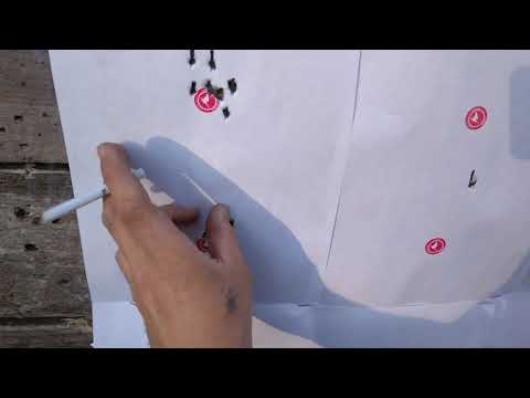 Видео: 27# Крал панчер питбуль- потенциал на будущее...