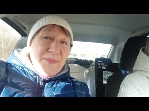 Видео: ЖИВЁМ У ДОЧЕРИ В ДЕРЕВНЕ. РАЗДАЁМ ХОЗЯЙСТВО.