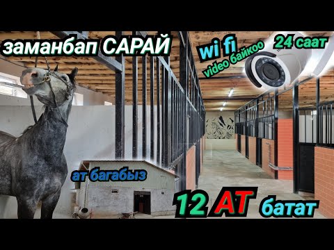 Видео: 12 ат батат 😱ЖАҢЫ ЗАМАНБАП САРАЙГА Ат багабыз 👍мындайды көбү көргөн эмес 🐴