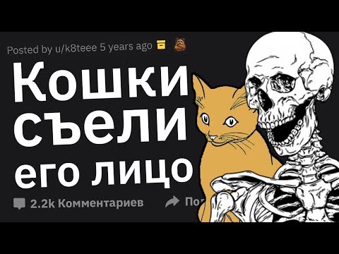 Видео: Работники Моргов Сливают Кошмарные Случаи на Работе