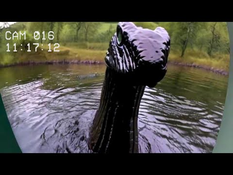 Видео: 5 самых жутких встреч с Лох-Несским чудовищем (2024)