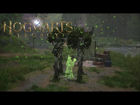 Видео: Чушь а не загадки... Hogwarts Legacy #7