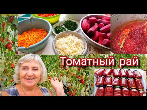 Видео: «Секрет вкусного борща: аромат лета в банке!» Борщевая заправка 