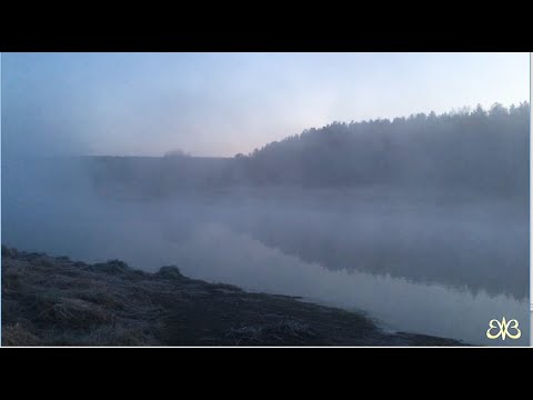 Видео: Утро туманное