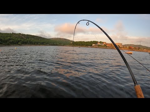 Видео: ВЕЧЕРОМ НА ЗАЛИВЕ / Evening on the bay