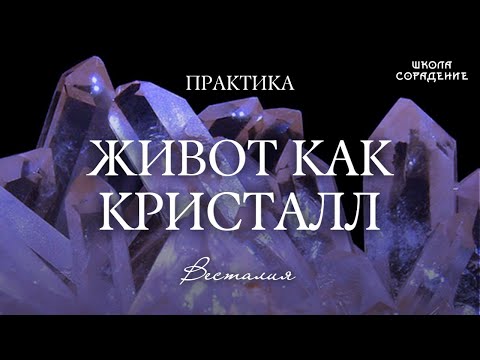 Видео: Формирование центра живота. Живот как кристалл #опоранасвет  #животкаккристалл #Весталия #практика