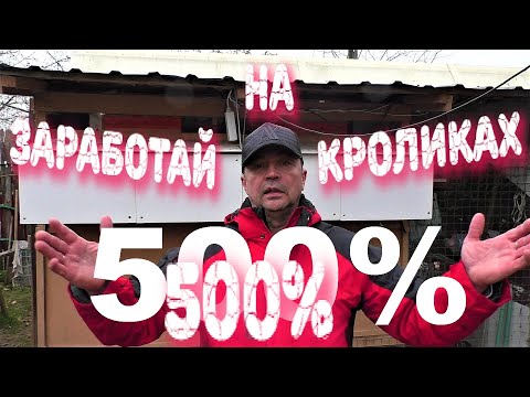 Видео: РАЗВЕДЕНИЕ КРОЛИКОВ 🐇прибыль % 🤦‍♂️ЛИЧНЫЙ ОПЫТ Кролики содержание и разведение