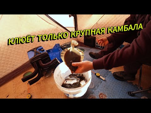 Видео: Закрытие сезона зимней рыбалки 2025 | Тестируем собственноручно собранный аккумулятор