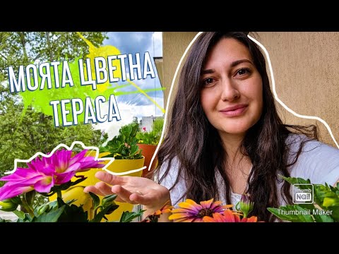 Видео: МОЯТА ЦВЕТНА ТЕРАСА | нови цветя, декорация