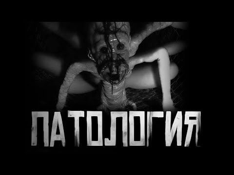 Видео: ПАТОЛОГИЯ... Страшные истории на ночь. Страшилки на ночь.
