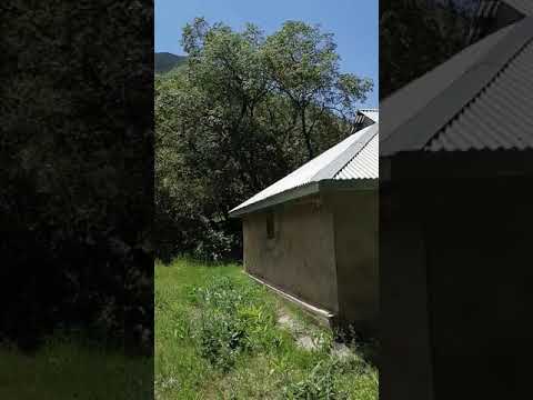 Видео: Хазрати Фолума 30 декабря 2020 г.