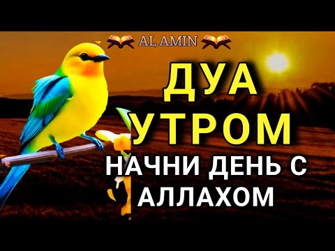 Видео:  ДУА УТРОМ ДЛЯ СЧАСТЬЯ И ЗДОРОВЬЯ 🌈🌹🔑💯