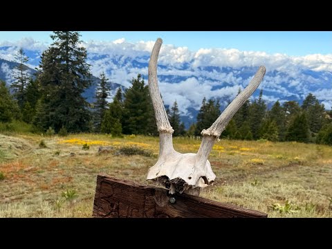 Видео: В одиночку по Америке🇺🇸! 4К! Пешком от Канады до Мексики! Северная Калифорния  часть 9