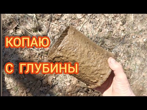 Видео: СНОВА КОПАЮ С Клоном пи АВР (Clone pi AVR). ИМПУЛЬСНЫЙ МЕТАЛЛОИСКАТЕЛЬ В ДЕЛЕ.