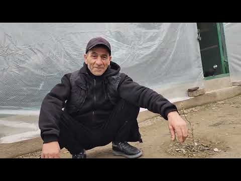 Видео: 7 декабря 2024 г.