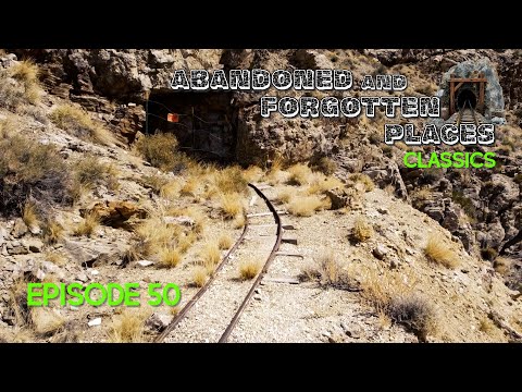 Видео: Встреча с горным львом или снежным человеком? Решать вам.