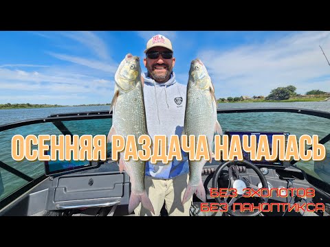 Видео: Лучшая рыбалка, сотни пойманных рыб, один из 3х дней