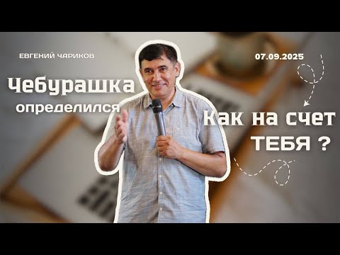 Видео: Чебурашка определился, как на счет тебя ? | Евгений Чариков